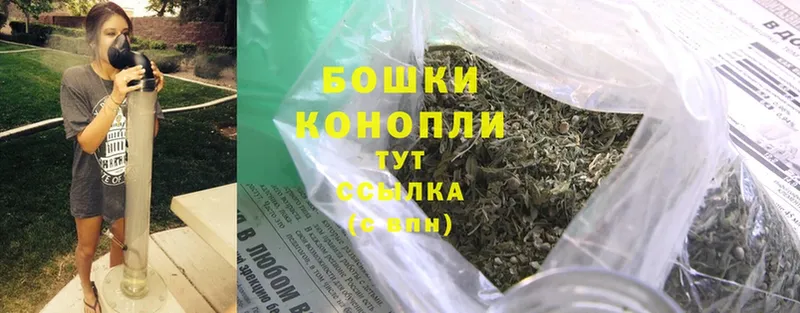 Бошки марихуана LSD WEED  купить закладку  Уссурийск 